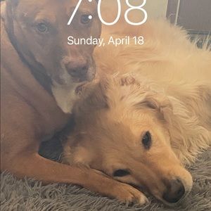 Meet your Posher, Brittney